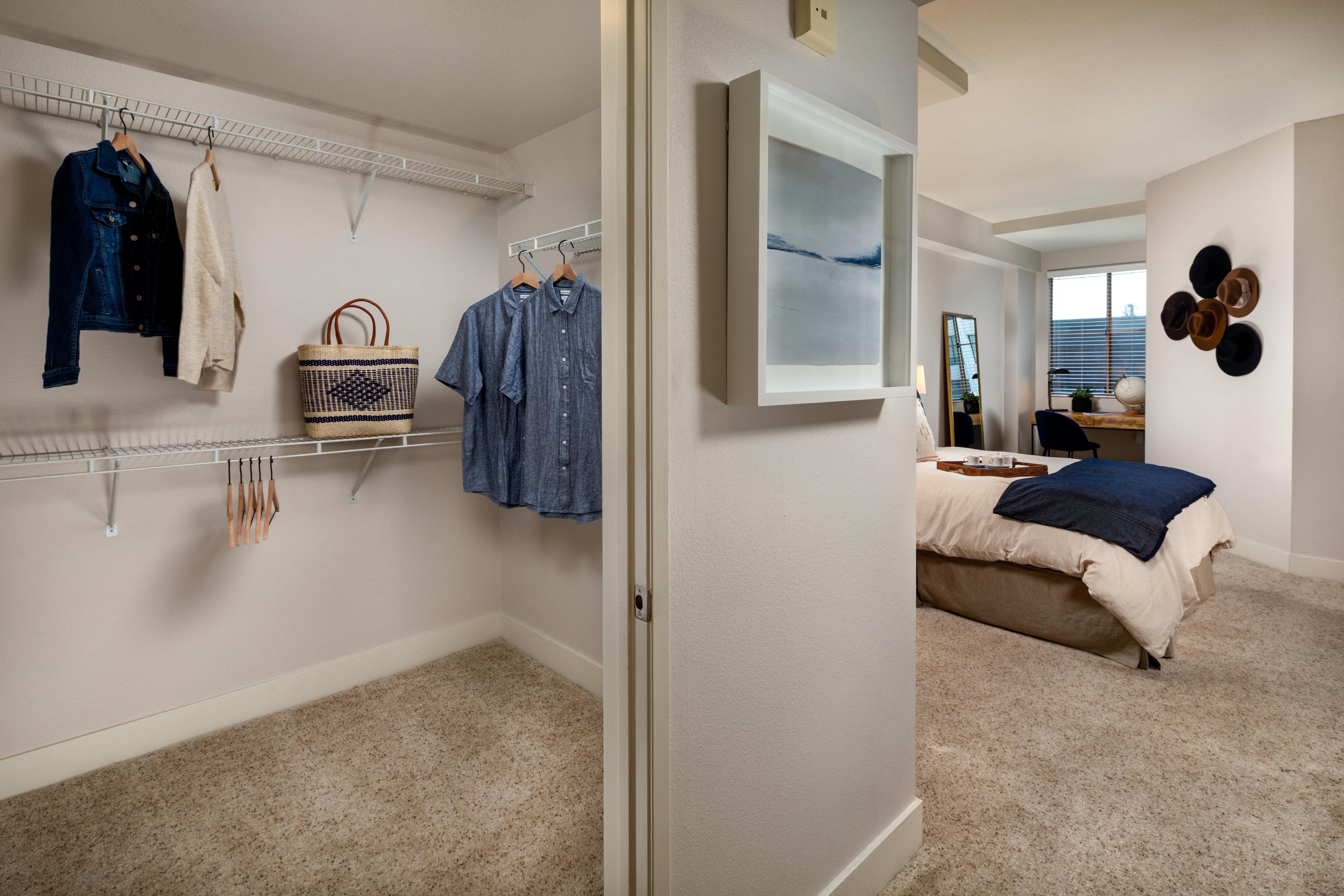 Gallery Photo 12